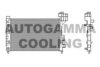 AUTOGAMMA 102000 Radiator, engine cooling